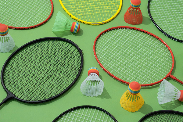 Outdoor Games (Cricket, Badminton)